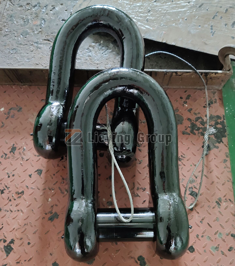 Buy D-shackle for anchor chain connection