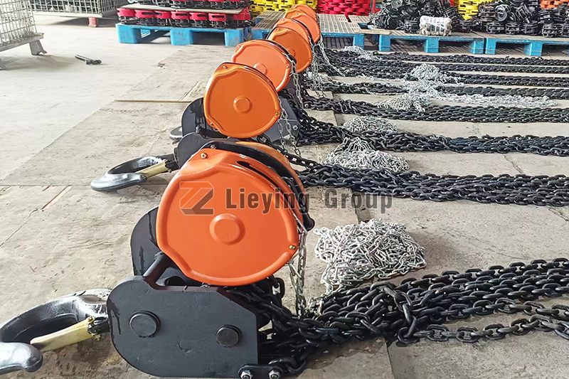 Chain hoist in assembly