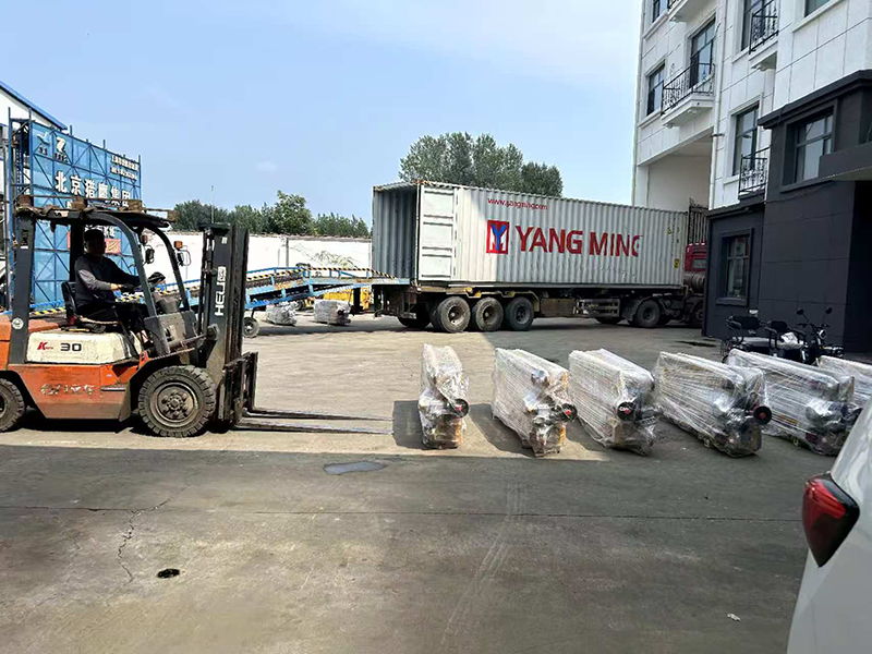 Hydraulic pallet truck was exported to Tianjin Port, China